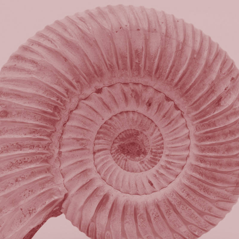 © nikhg - Fotolia.com